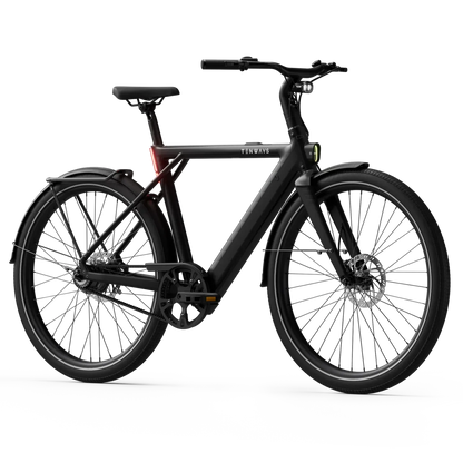 New Edition / Midnight black