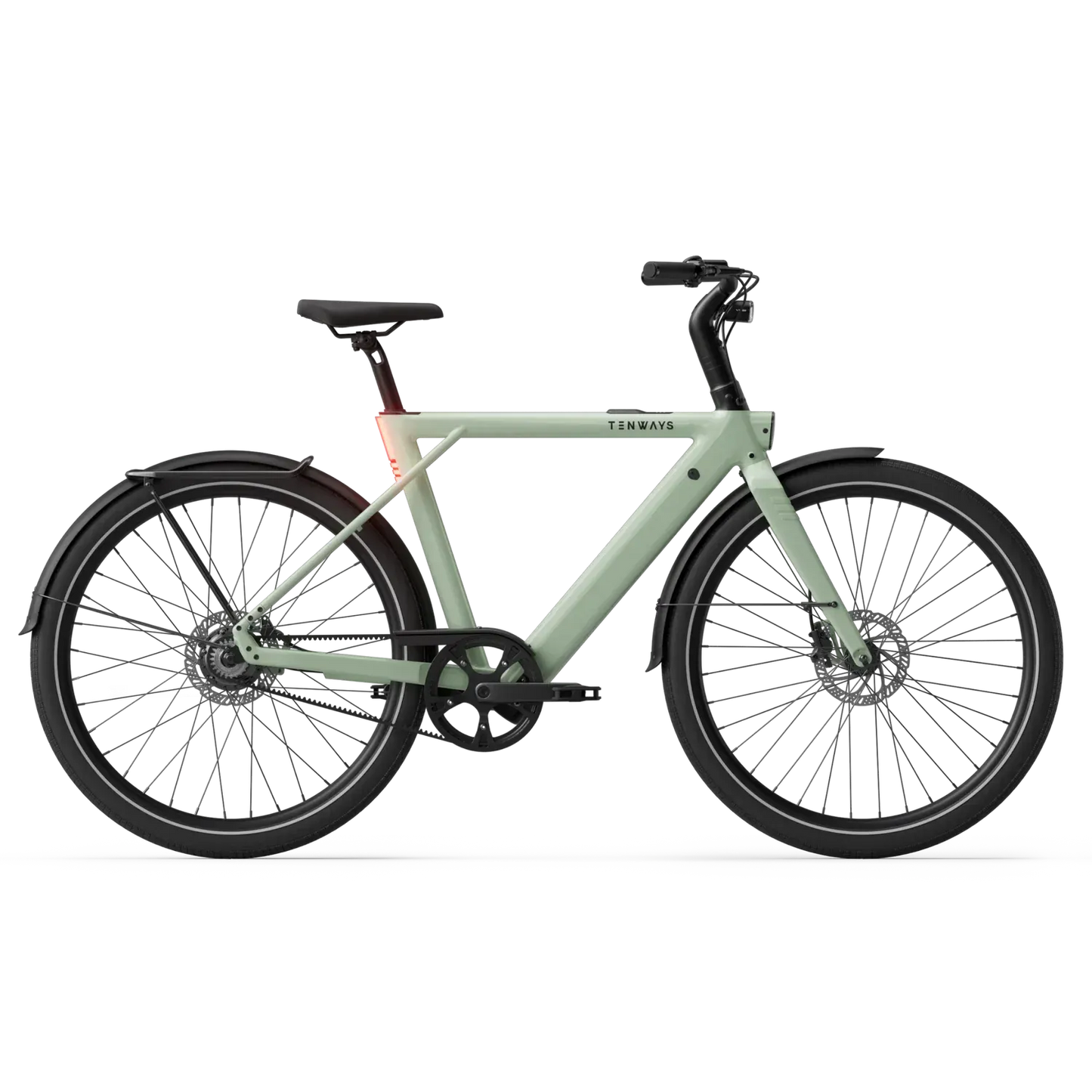 New Edition / Sage green