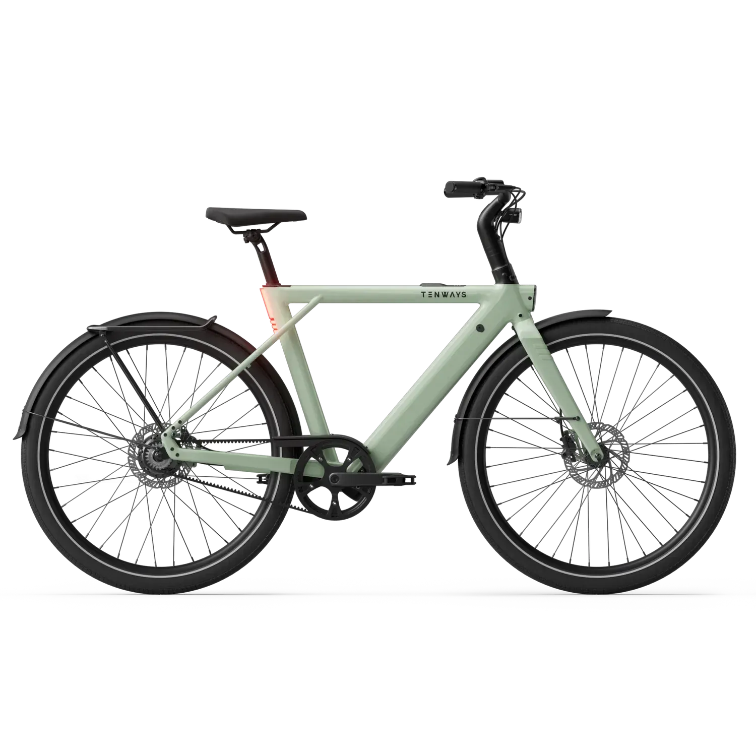 New Edition / Sage green