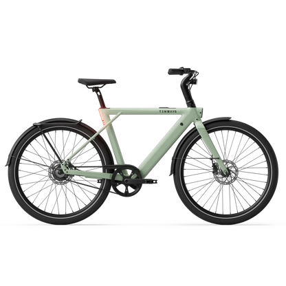 New Edition / Sage green