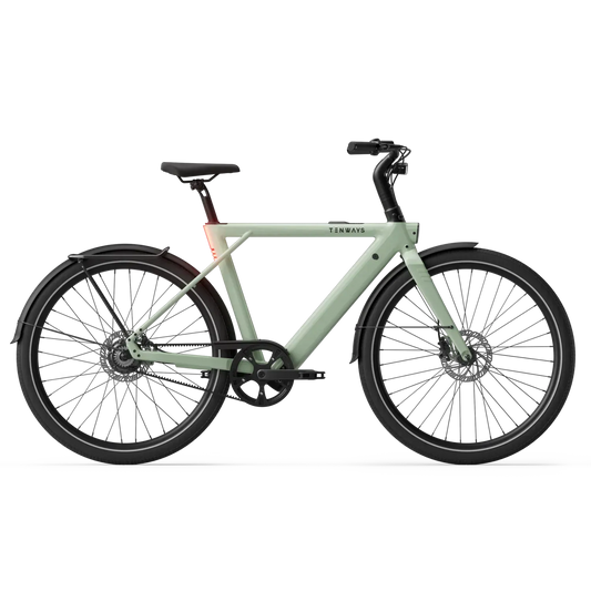 New Edition / Sage green