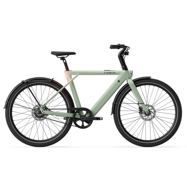 New Edition / Sage green