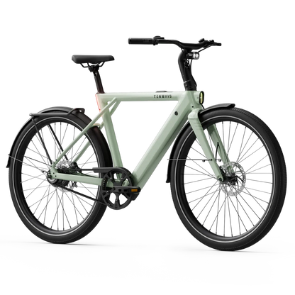 New Edition / Sage green