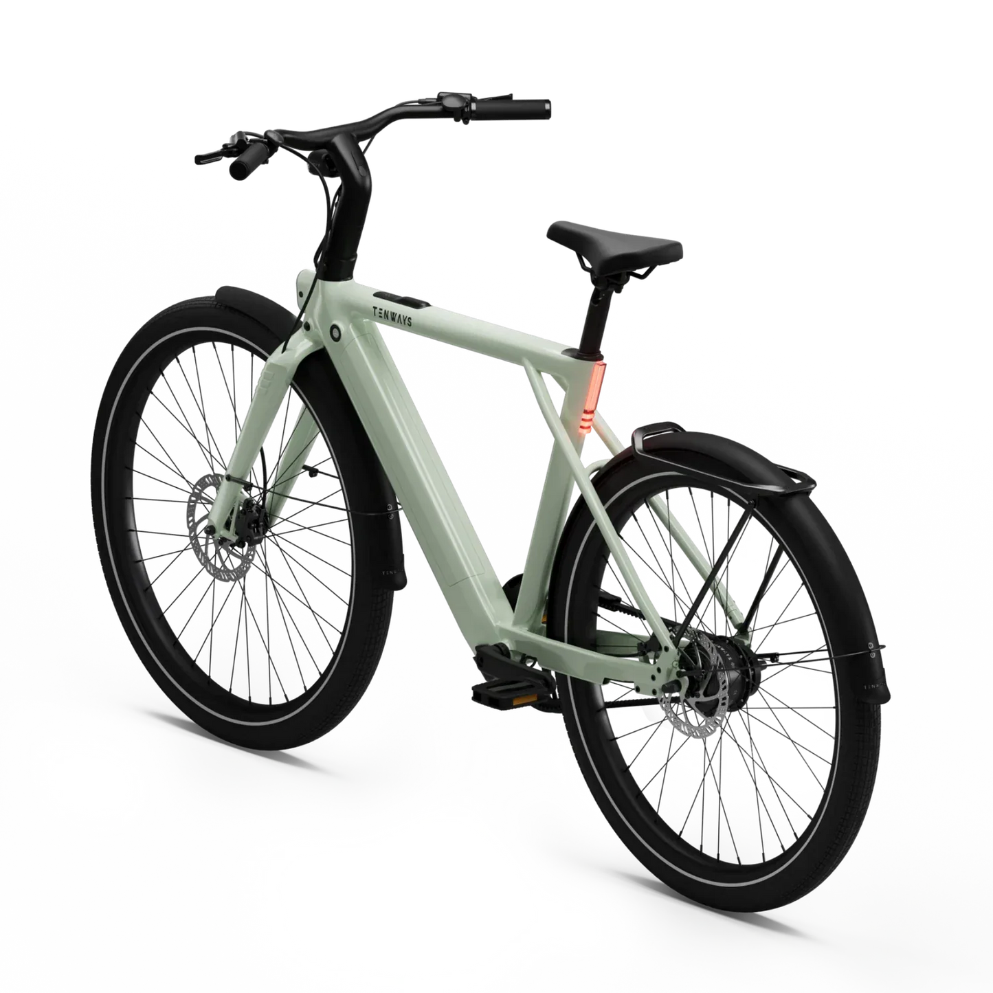 New Edition / Sage green