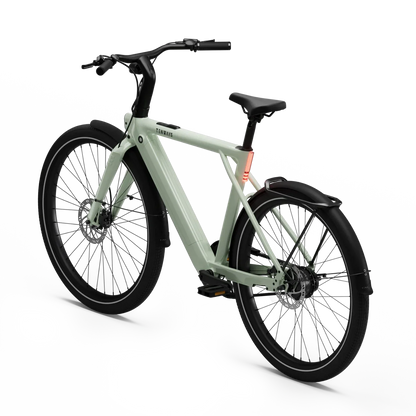 New Edition / Sage green