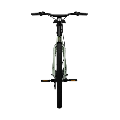 New Edition / Sage green