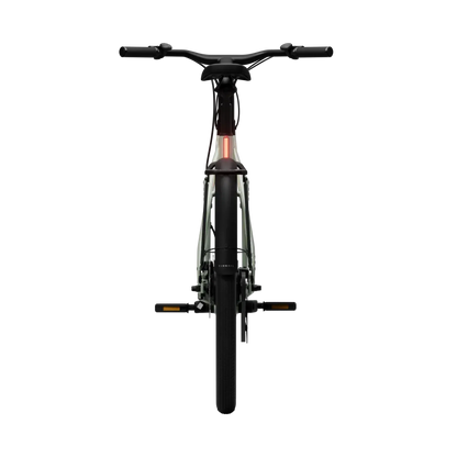 New Edition / Sage green